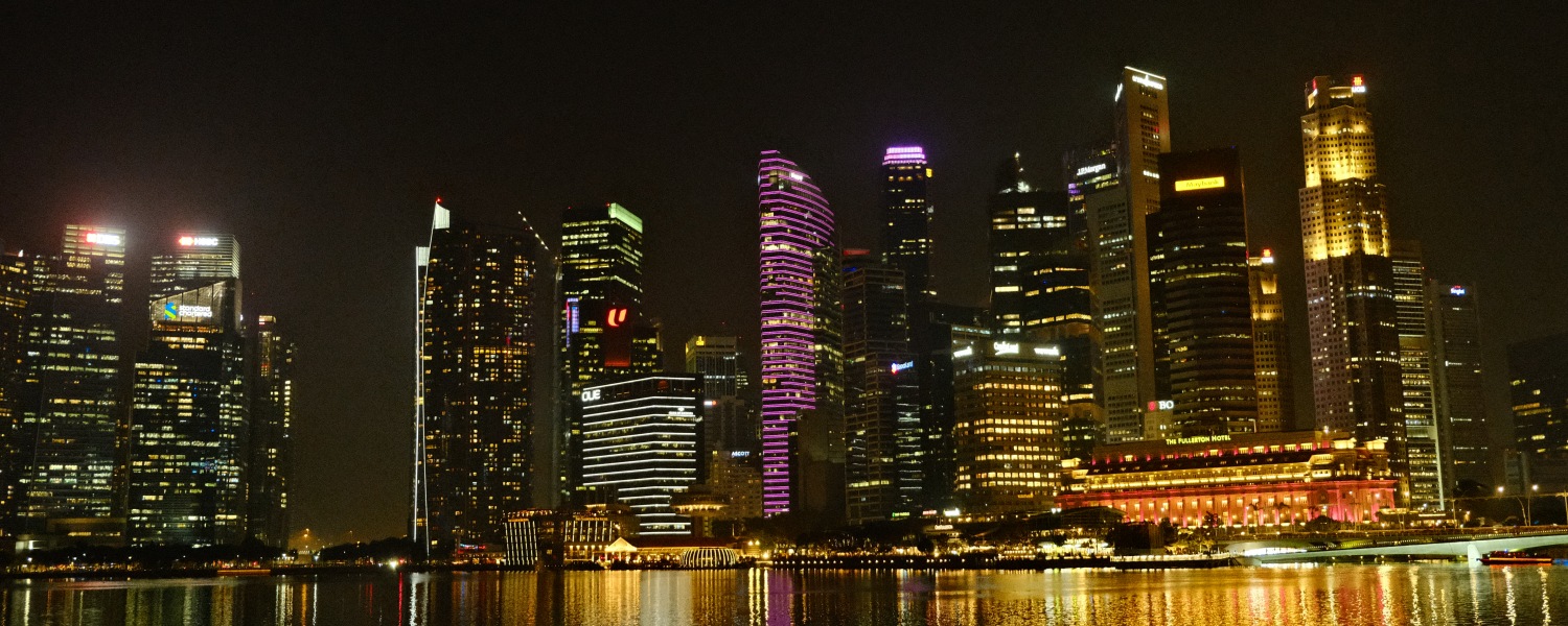 싱가포르 키비주얼