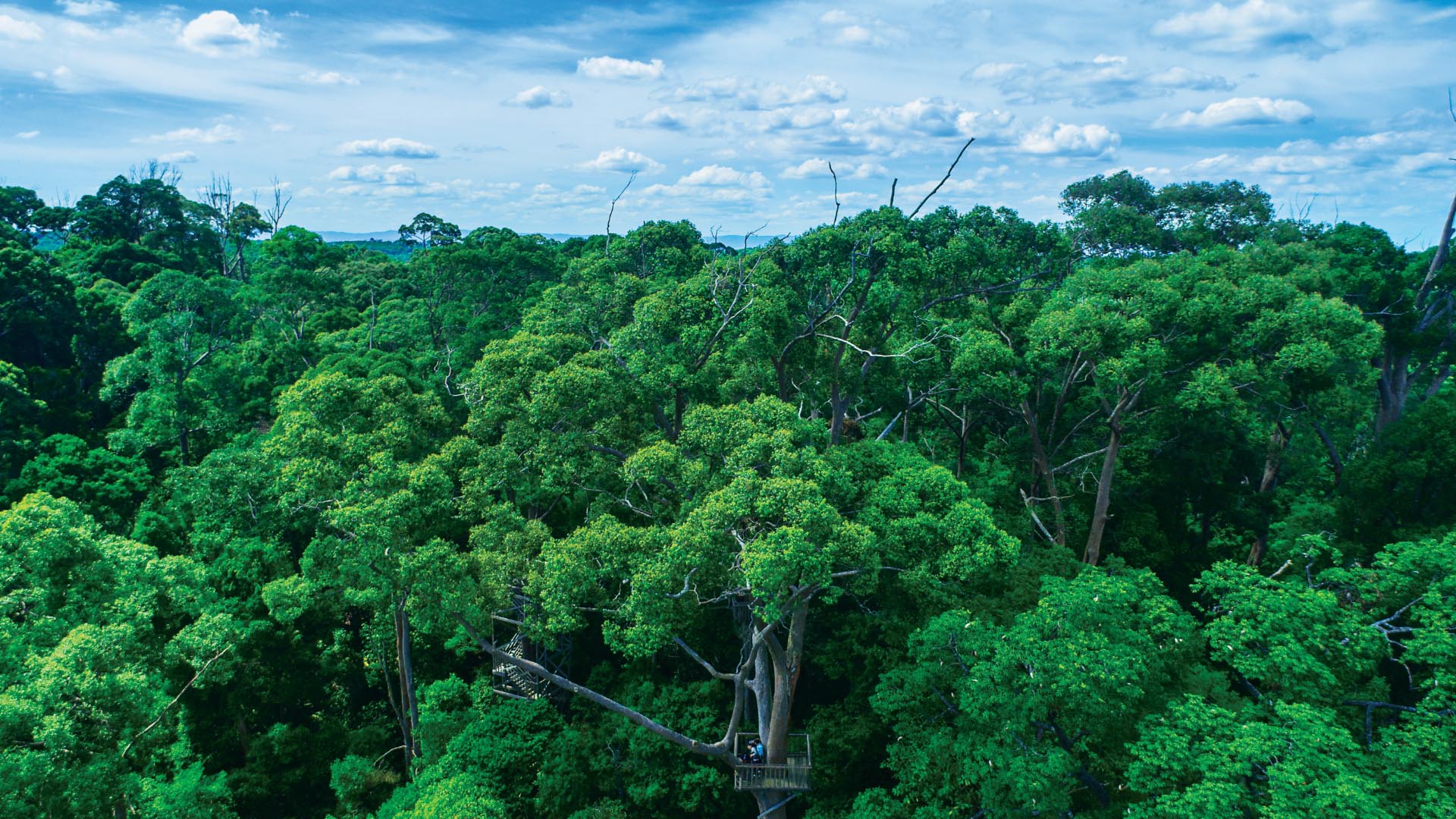 인도네시아 발릭파판 48시간 여행