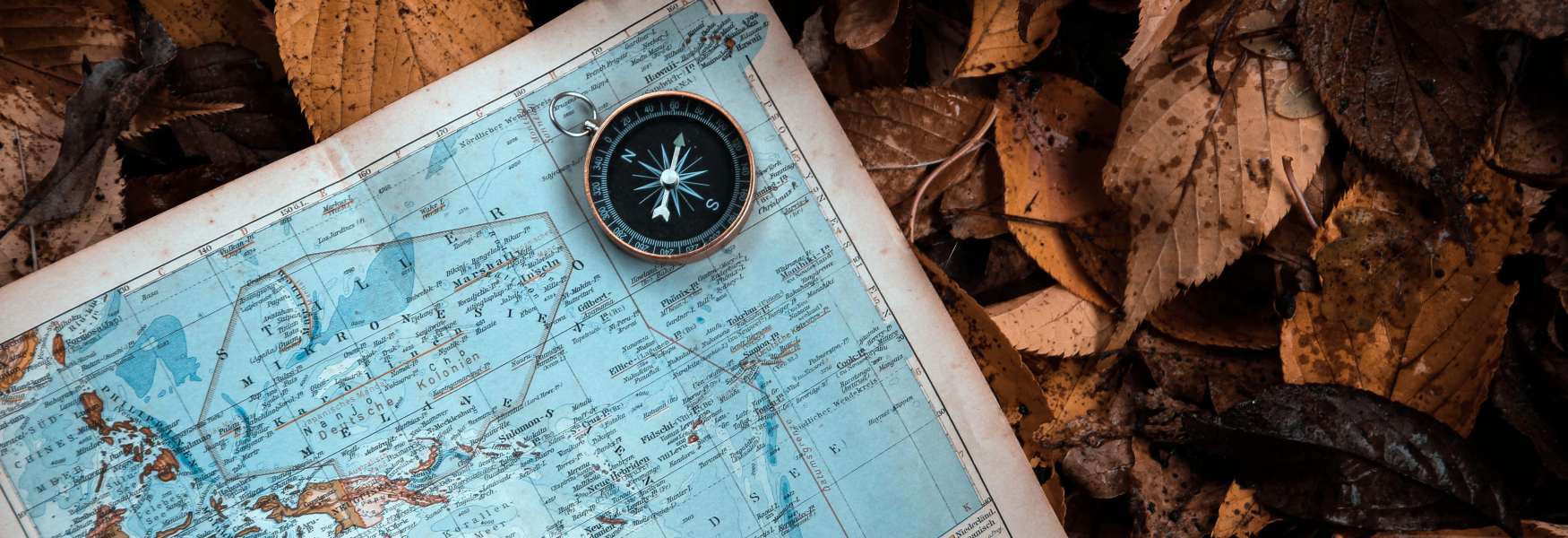 이주의 데스티네이션