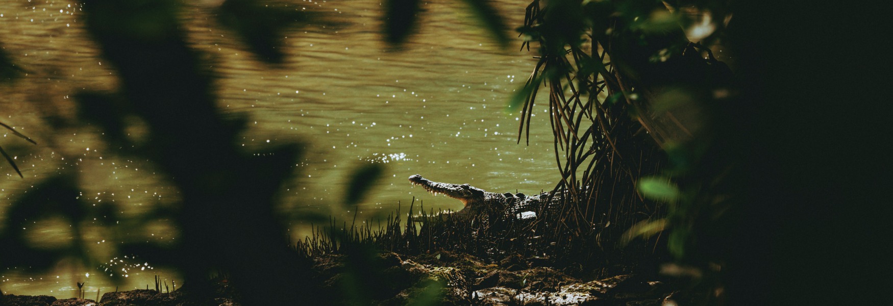 싱가포르 가든스 바이 더 베이
