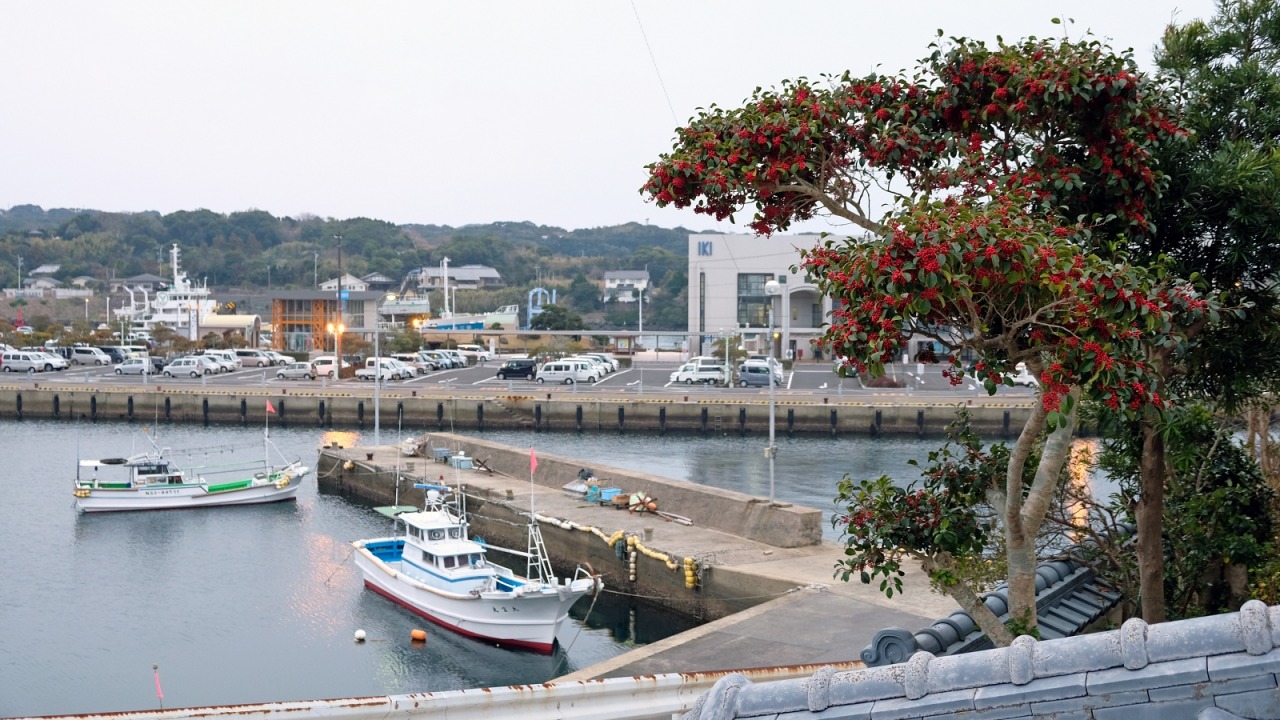 후쿠오카 이키섬 