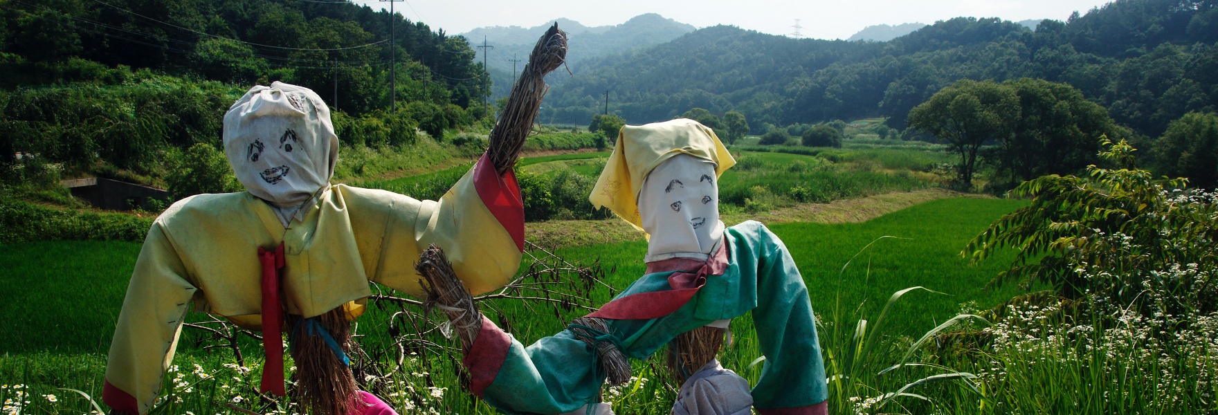 송어로 유명한 대청댐의 허수아비 사진.