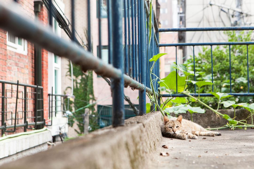 여행 작가 설재우와 함께하는 서촌 산책