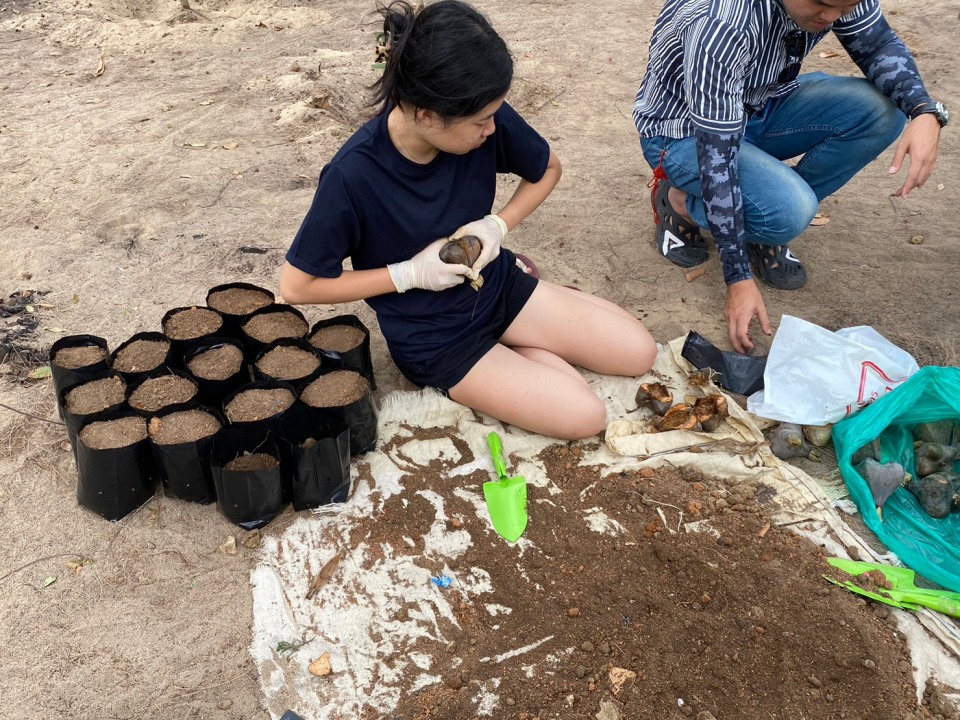 태국 후아힌 맹그로브 숲 에코 여행 7일 