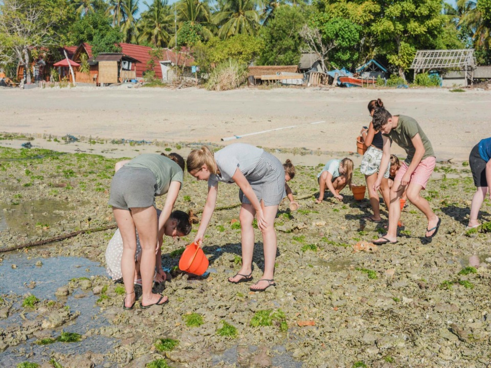 발리에서 휴양을 즐기며 바다거북을 보호하는 여행 7일