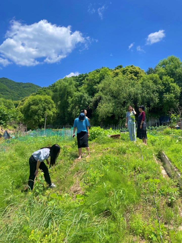 마하키친 셰프와 함께하는 채소 미식회