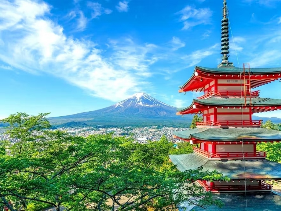 후지산, 오시노 핫카이, 가와구치코 호수 당일 투어(도쿄 출발)