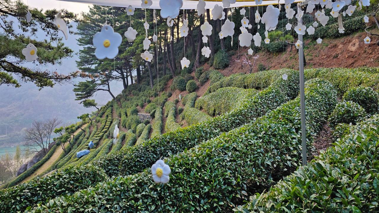 [도자기공방미소] 도예가 호스트와 함께 하는 흙집에서의 감성 촌캉스(식사와 찻자리 포함)