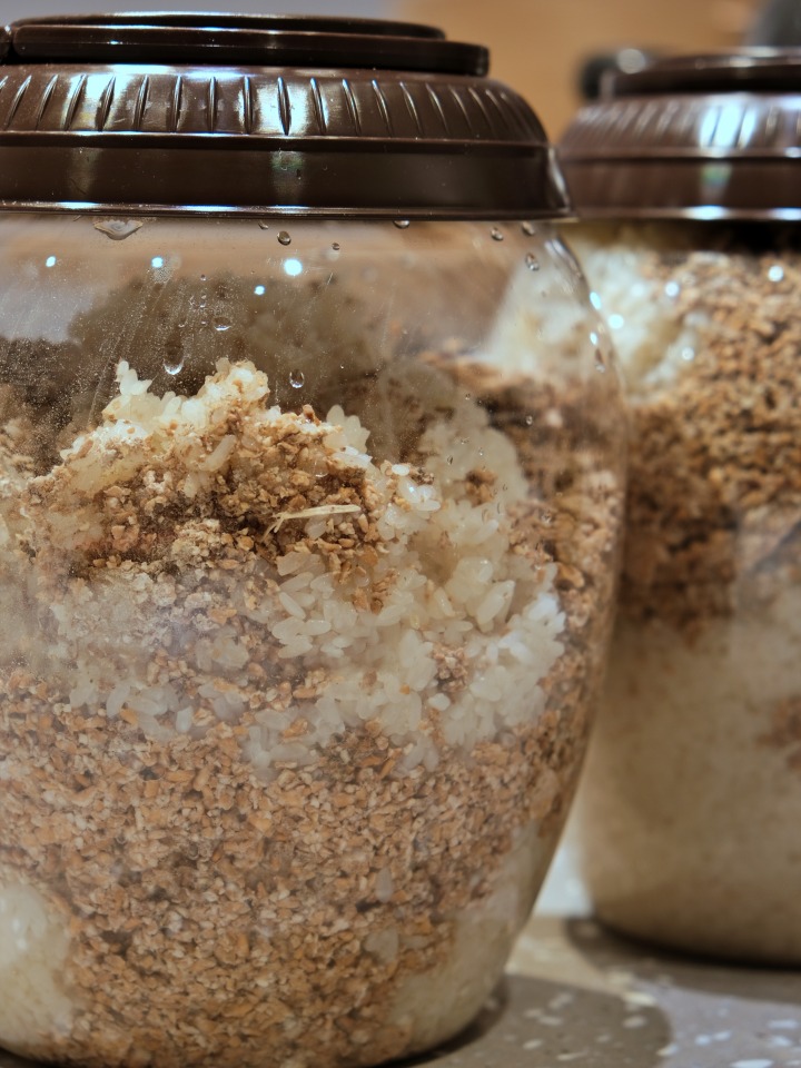 우리술당당 막걸리 클래스