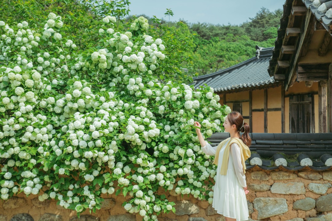 [기차여행] 세계문화유산 영주 부석사와 소수서원 & 한우 미식 투어