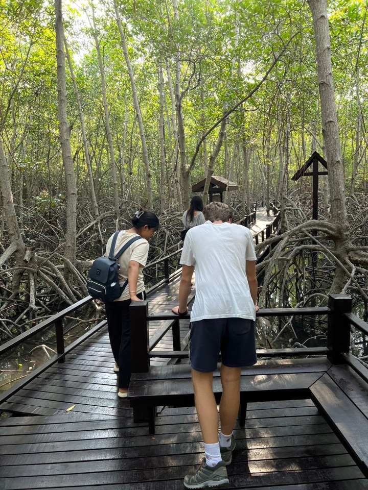 태국 후아힌 맹그로브 숲 에코 여행 7일 