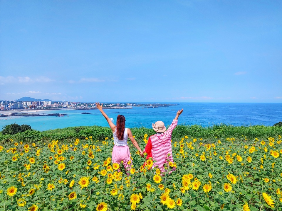 제주 로컬 사진가와 함께하는 오름 곶자왈 투어