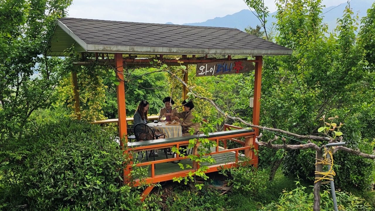 [꽃다연] 하동 꽃차와 와인 향기 가득한 휴식(식사와 찻자리 포함)
