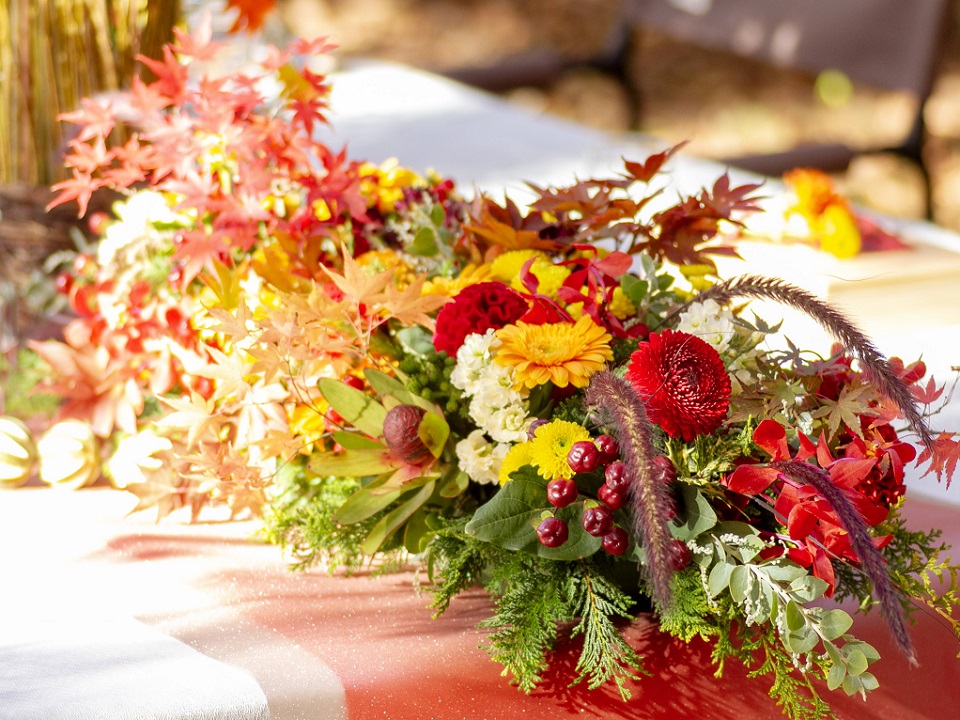 꽃의 도시 후쿠오카현 노가타에서의 특별한 가을 다이닝, 플라워 레스토랑