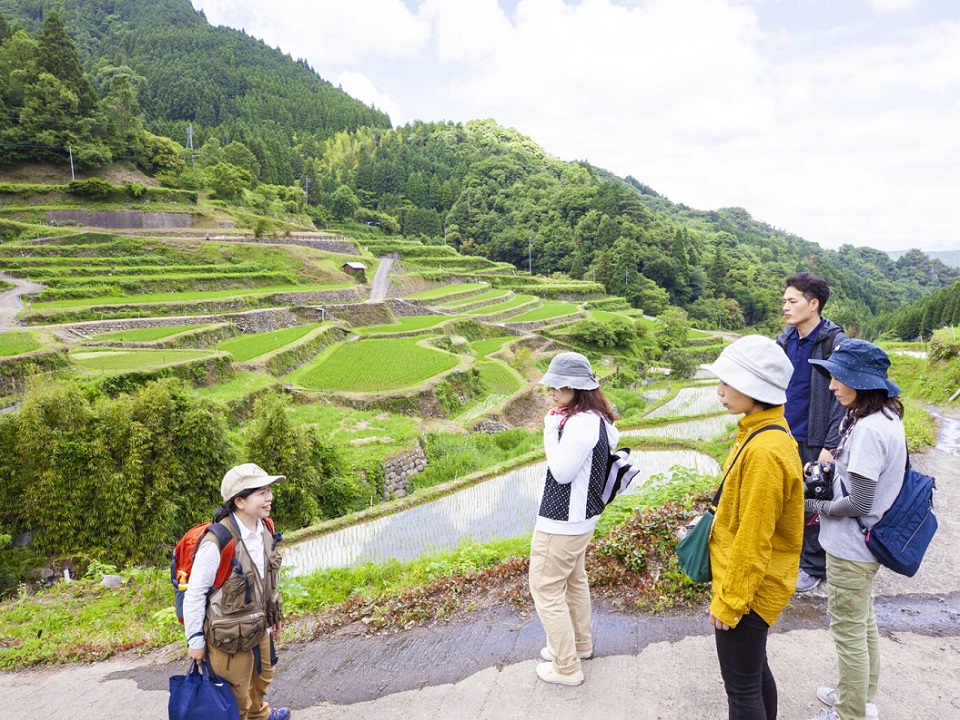 후쿠오카현 츠즈라 계단식 논을 바라보는 숲 힐링 체험 삼림 테라피