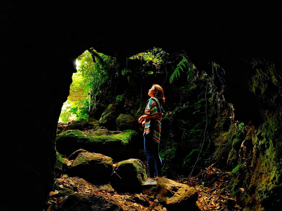 제주 로컬 사진가와 함께하는 오름 곶자왈 투어