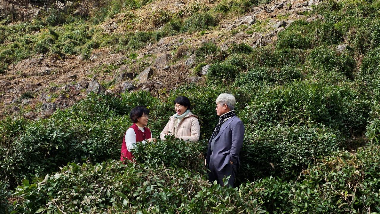 [수월산방] 차와 명상이 함께하는 지리산 힐링 다숙(식사와 찻자리 포함)