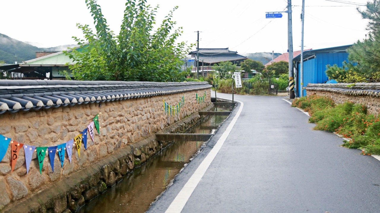 안동 대마민국 금소마을 1박 2일 촌캉스 로컬여행, 금양연화