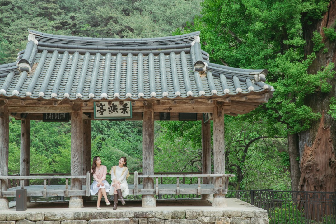 [기차여행] 세계문화유산 영주 부석사와 소수서원 & 한우 미식 투어