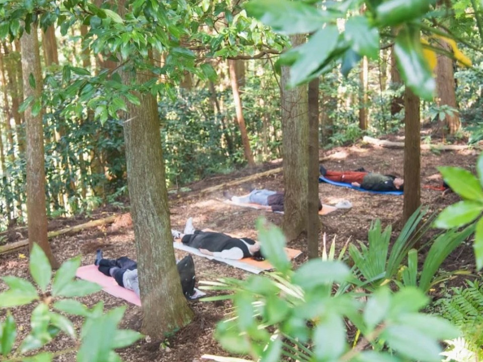 후쿠오카현 츠즈라 계단식 논을 바라보는 숲 힐링 체험 삼림 테라피