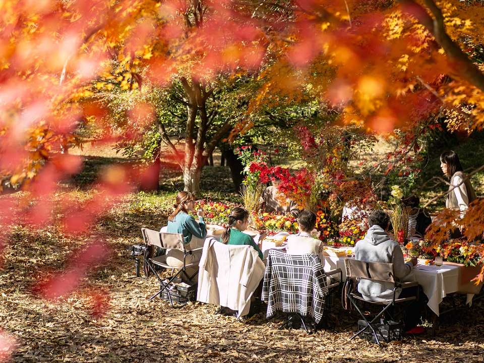 꽃의 도시 후쿠오카현 노가타에서의 특별한 가을 다이닝, 플라워 레스토랑