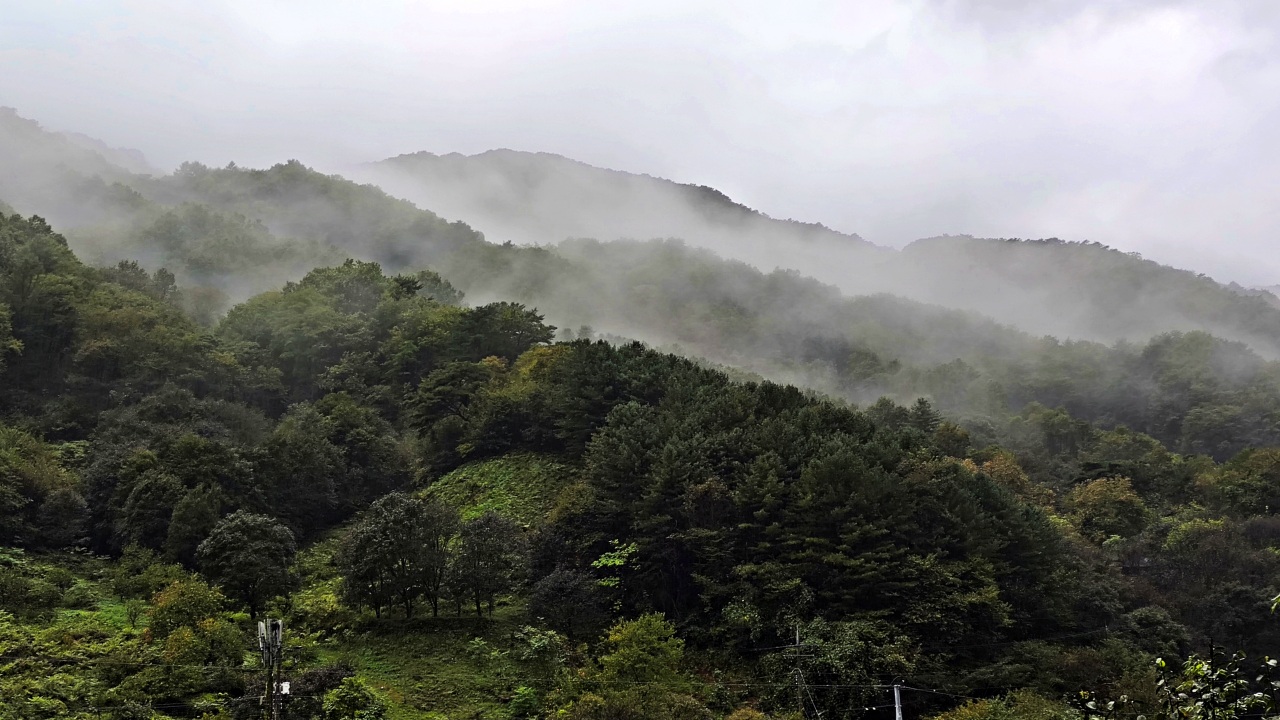 [수월산방] 차와 명상이 함께하는 지리산 힐링 다숙(식사와 찻자리 포함)