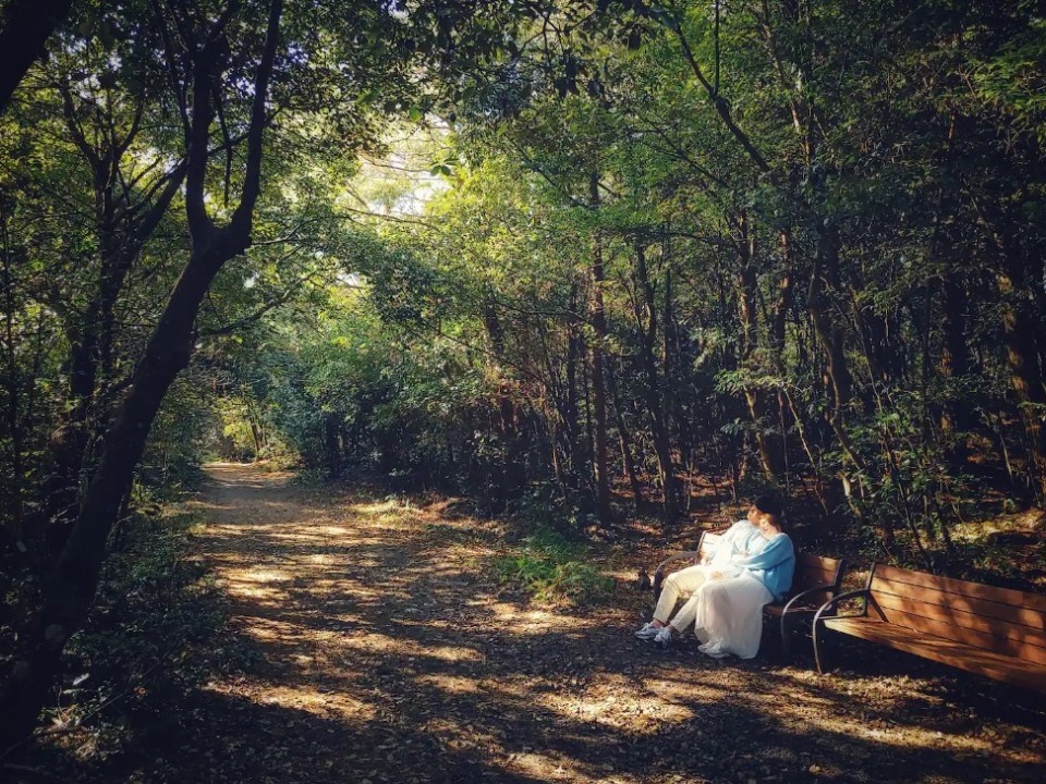 제주 로컬 사진가와 함께하는 오름 곶자왈 투어